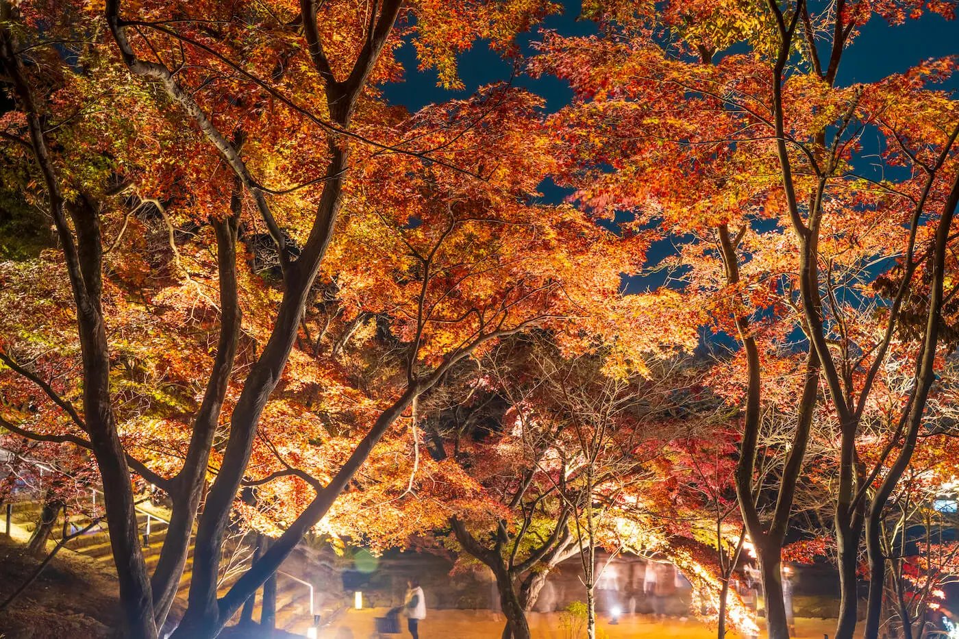 🏞️ 나카가와 강변 공원 (나카가와카한코엔)